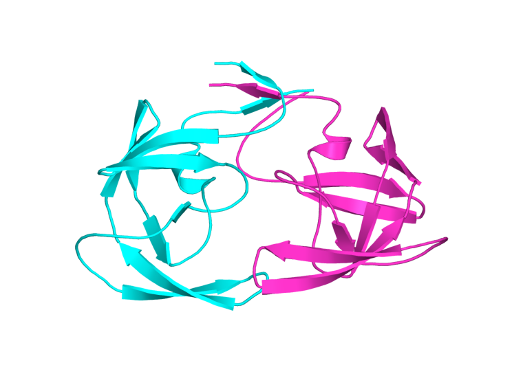 Figura 26