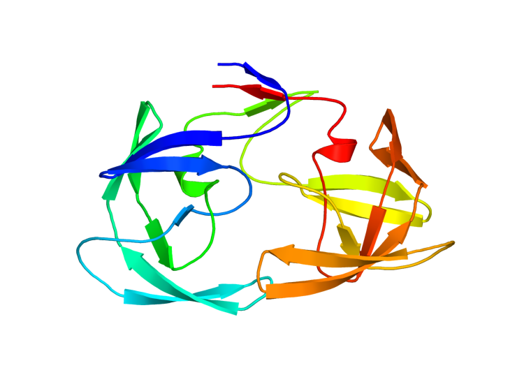 Figura 27