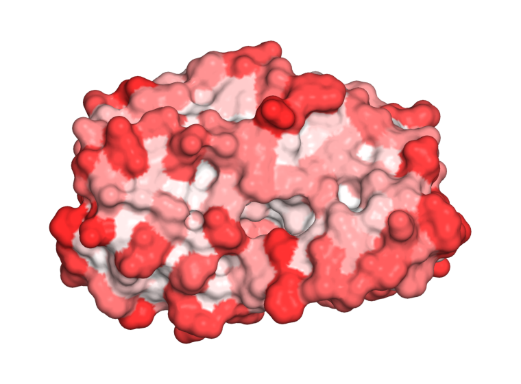 Figura 37