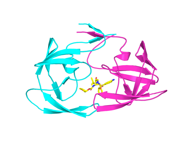 Figura 1