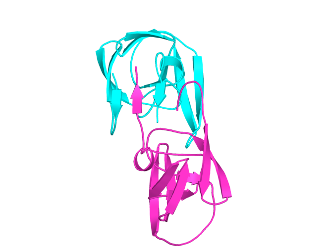 Figura 4
