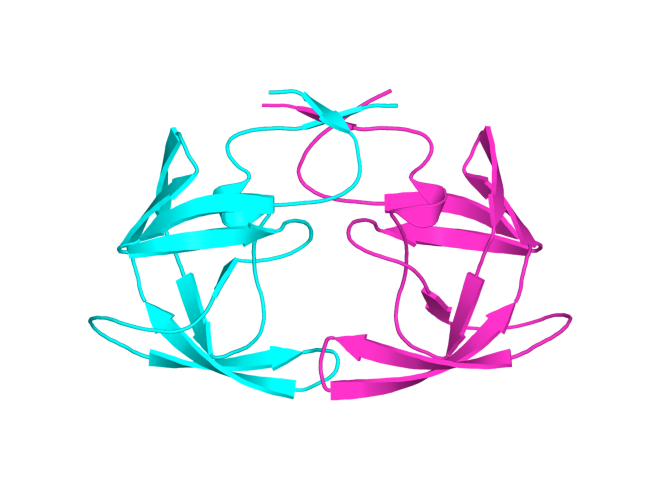 Figura 5