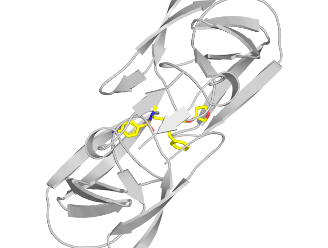 Figura 7