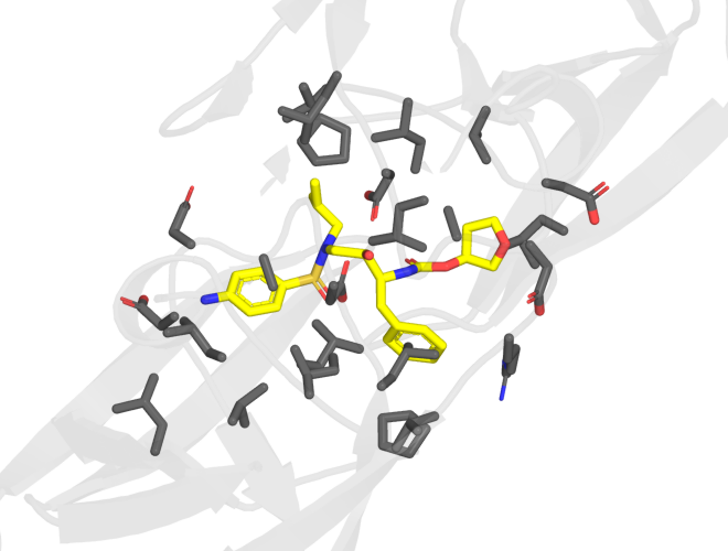 Figura 12