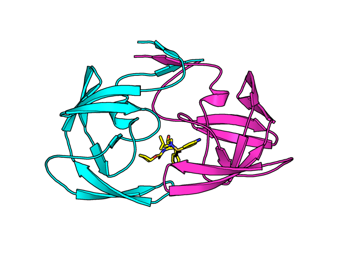 Figura 24