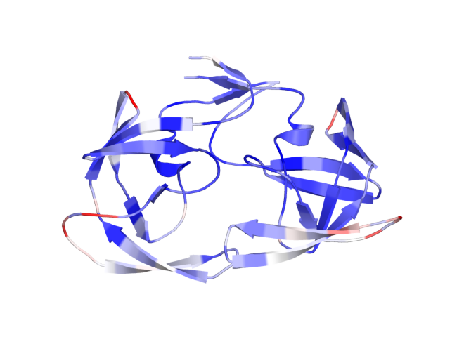 Figura 28