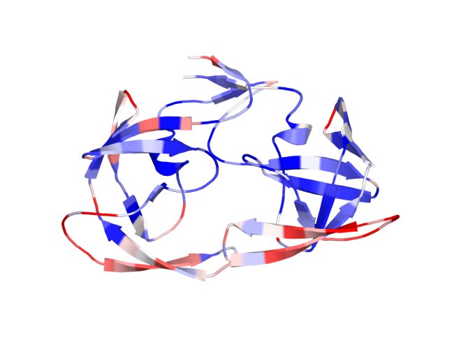 Figura 29