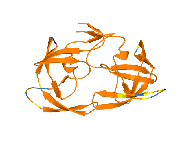 Figura 42