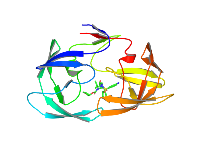 Figura 25